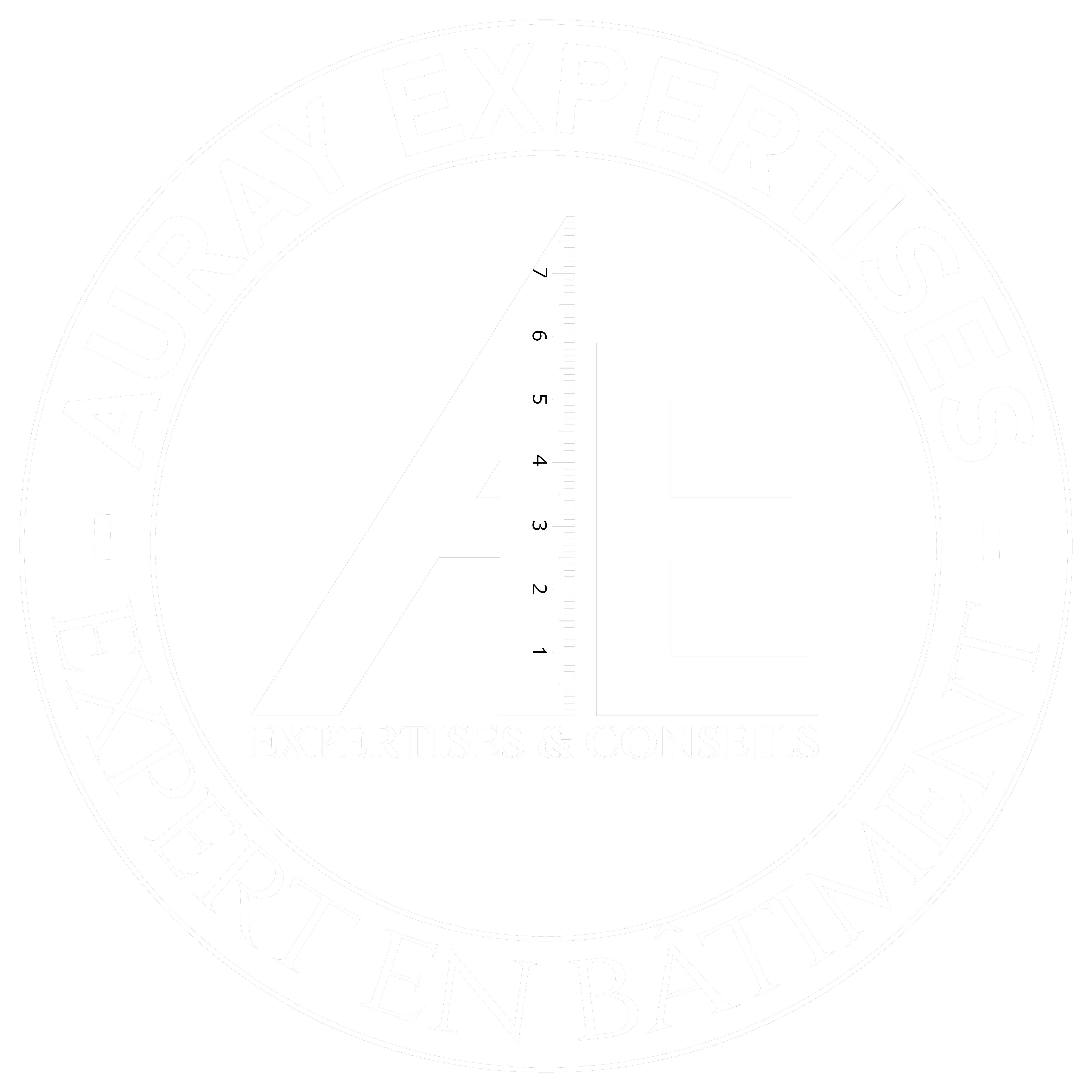 AURAY EXPERTISES